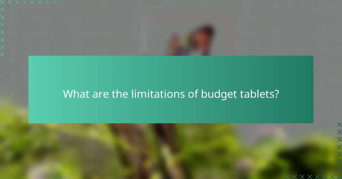 What are the limitations of budget tablets?
